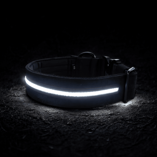 2.5cm Light Up LED Combat® Collar | With Handle & Secure Clip - Black