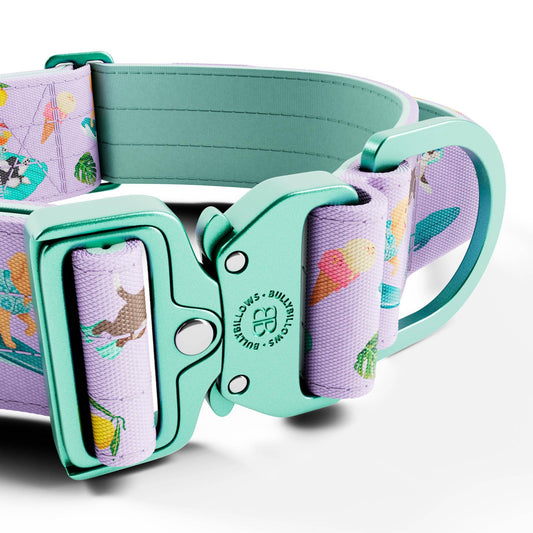 5cm Lighter Combat® Collar | With Handle & Secure Clip - Prismra Purple
