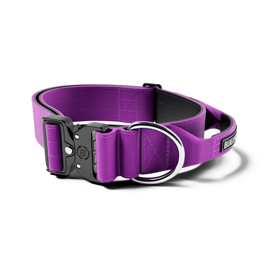 5cm Combat® Collar | With Handle & Secure Clip
