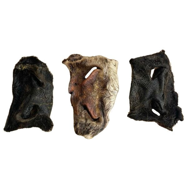 Hairy Beef Snouts - 2 Pieces