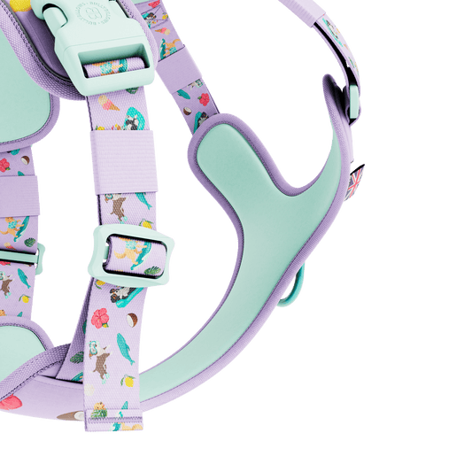 Anti Pull Hurricane Harness Lighter | With Handle - Prismra Purple