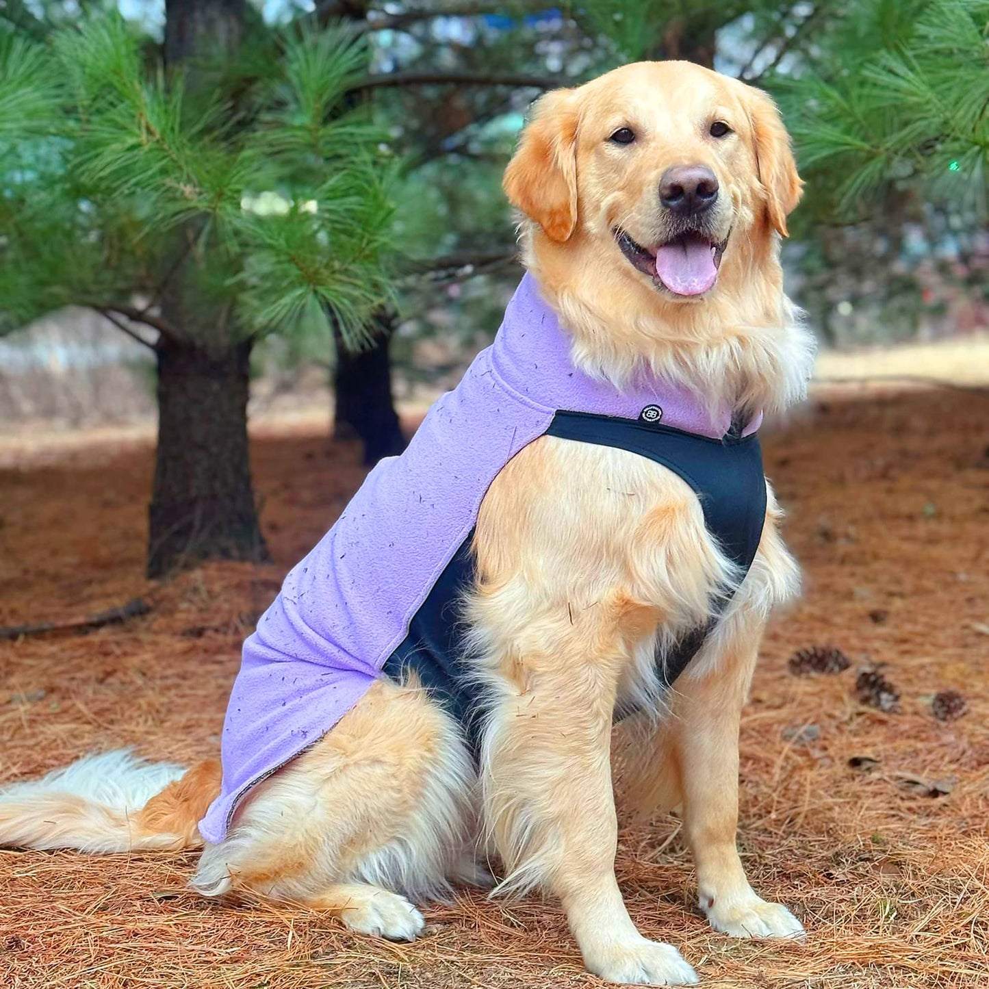 Dog Fleece With Zip - Orange