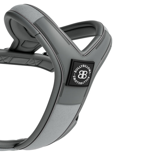 Slip on Harness | Foam Padded - Metal Grey