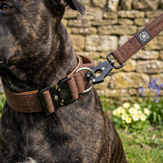 5cm Tweed & Herringbone Combat® Collar | With Handle & Secure Clip