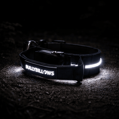 2.5cm Light Up LED Combat® Collar | With Handle & Secure Clip