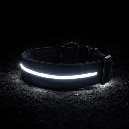 5cm Light Up LED Combat® Collar | With Handle & Secure Clip