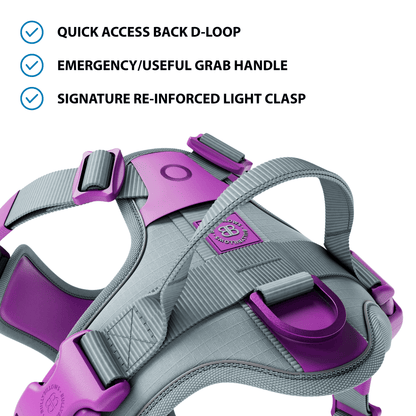 Anti Pull Hurricane Harness Lighter | With Handle - Purple X Metal Grey