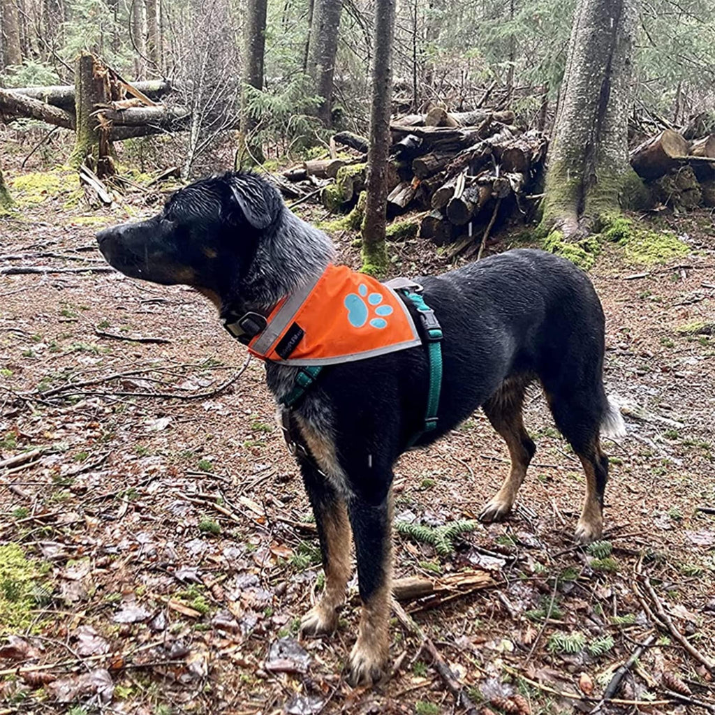 Large Hi-Vis Orange Reflective Dog Bandana Prismra