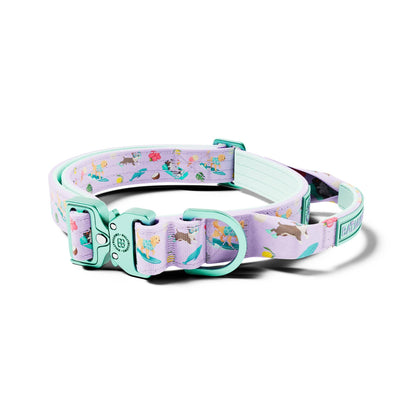 2.5cm Lighter Combat® Collar | With Handle & Secure Clip - Prismra Purple