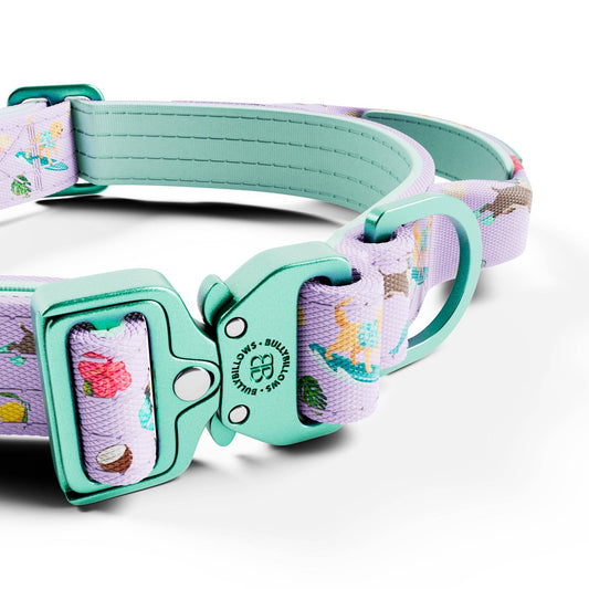 2.5cm Lighter Combat® Collar | With Handle & Secure Clip - Prismra Purple