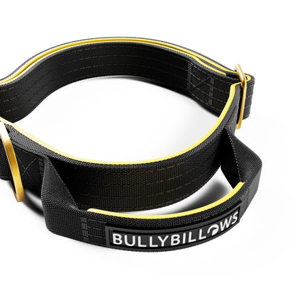 2.5cm Lighter Combat® Collar | With Handle & Secure Clip - Black X Yellow