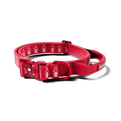 2.5cm Lighter Combat® Collar | With Handle