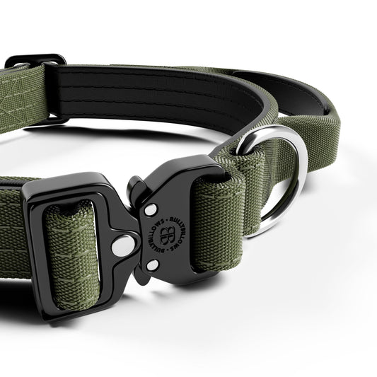 2.5cm Combat® Collar | With Handle & Secure Clip - Khaki
