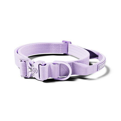 2.5cm Lighter Combat® Collar | With Handle & Secure Clip - Lavender X Ube