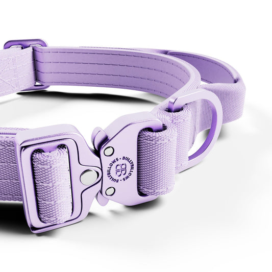 2.5cm Lighter Combat® Collar | With Handle & Secure Clip - Lavender X Ube