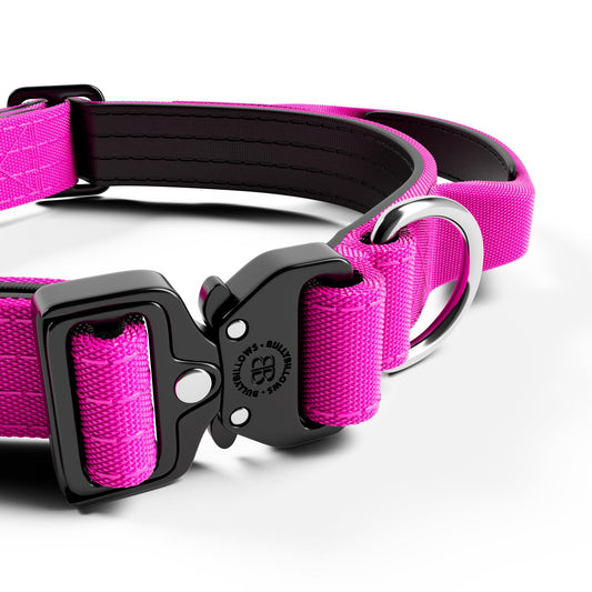 2.5cm Combat® Collar | With Handle & Secure Clip - Magenta