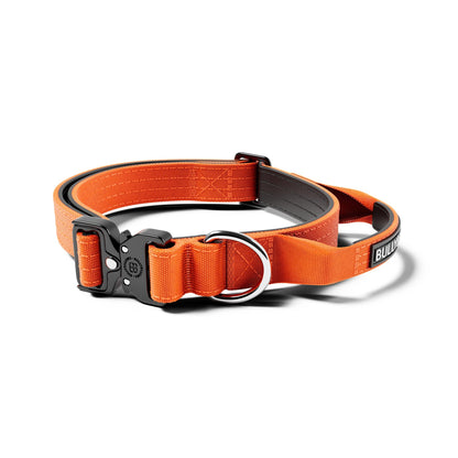 2.5cm Combat® Collar | With Handle & Secure Clip - Orange