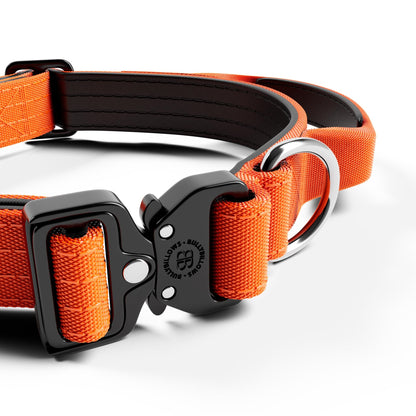 2.5cm Combat® Collar | With Handle & Secure Clip - Orange