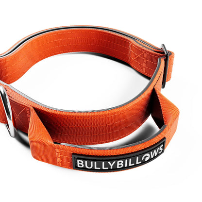 2.5cm Combat® Collar | With Handle & Secure Clip - Orange