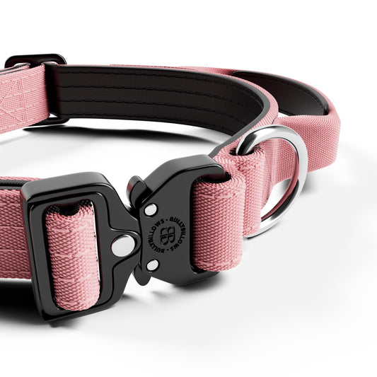 2.5cm Combat® Collar | With Handle & Secure Clip - Pink