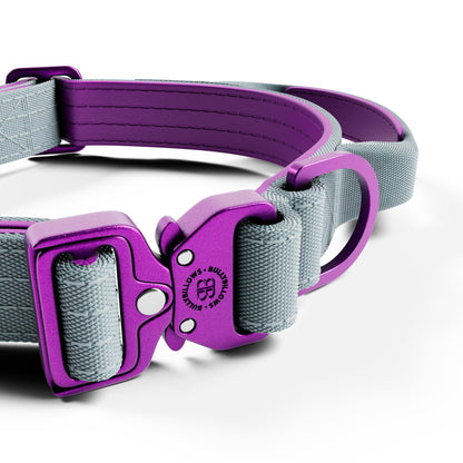 2.5cm Lighter Combat® Collar | With Handle & Secure Clip - Purple x Grey