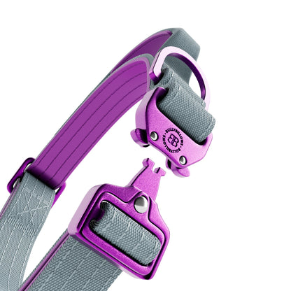 2.5cm Lighter Combat® Collar | With Handle & Secure Clip - Purple x Grey