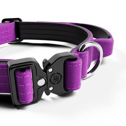 2.5cm Combat® Collar | With Handle & Secure Clip - Purple