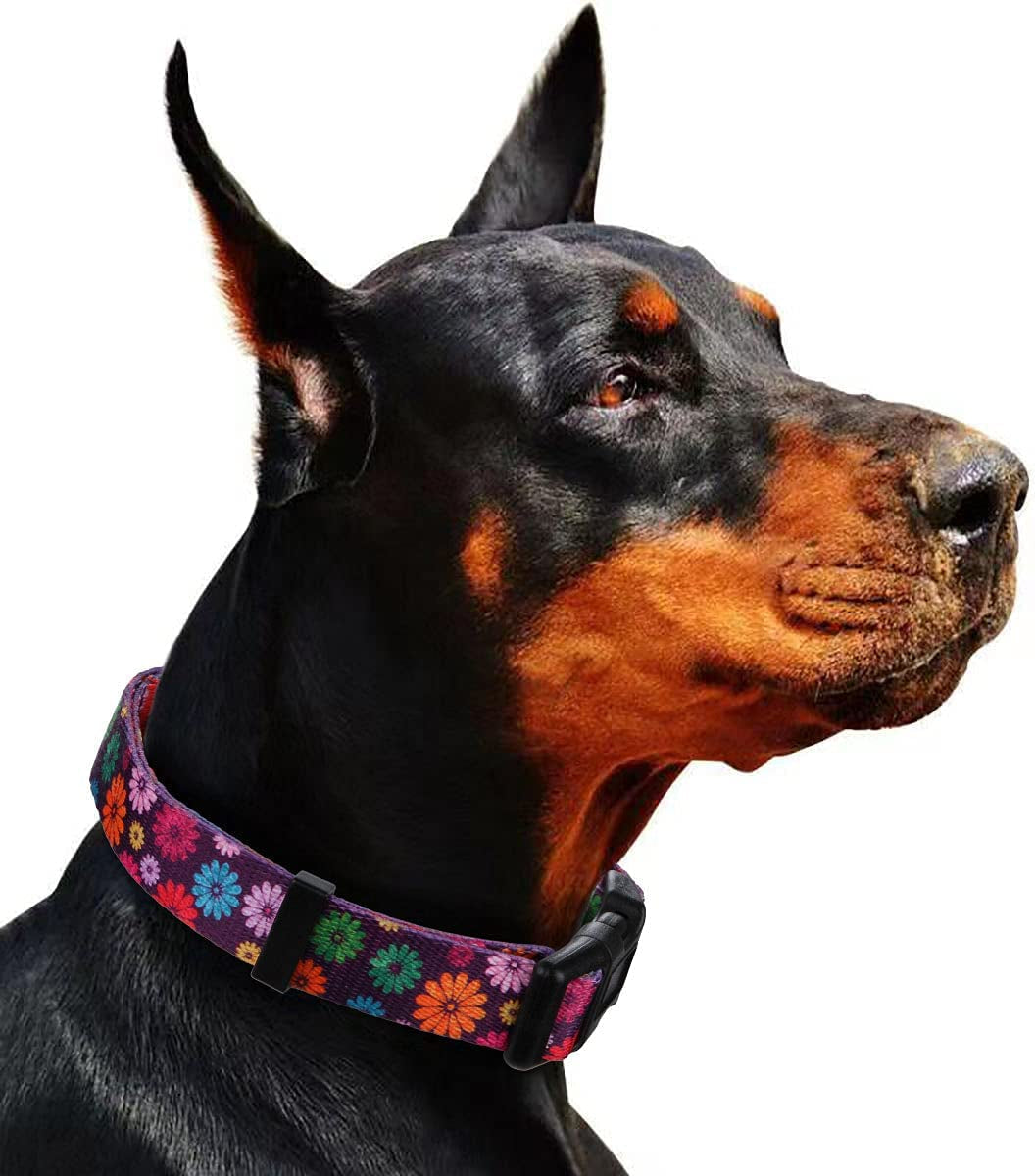 Floral Dog Collar Large by Prismra