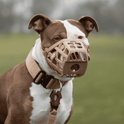 Premium Comfort Muzzle with 2 Straps - Doug Special Edition