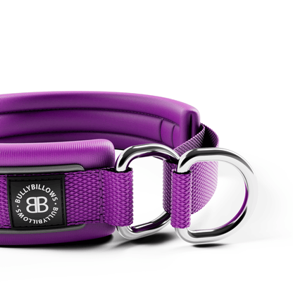 3cm Slip on Collar | Foam Padded - Purple