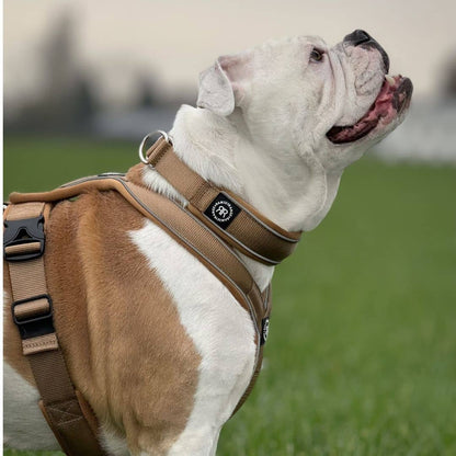 3cm Slip on Collar | Foam Padded