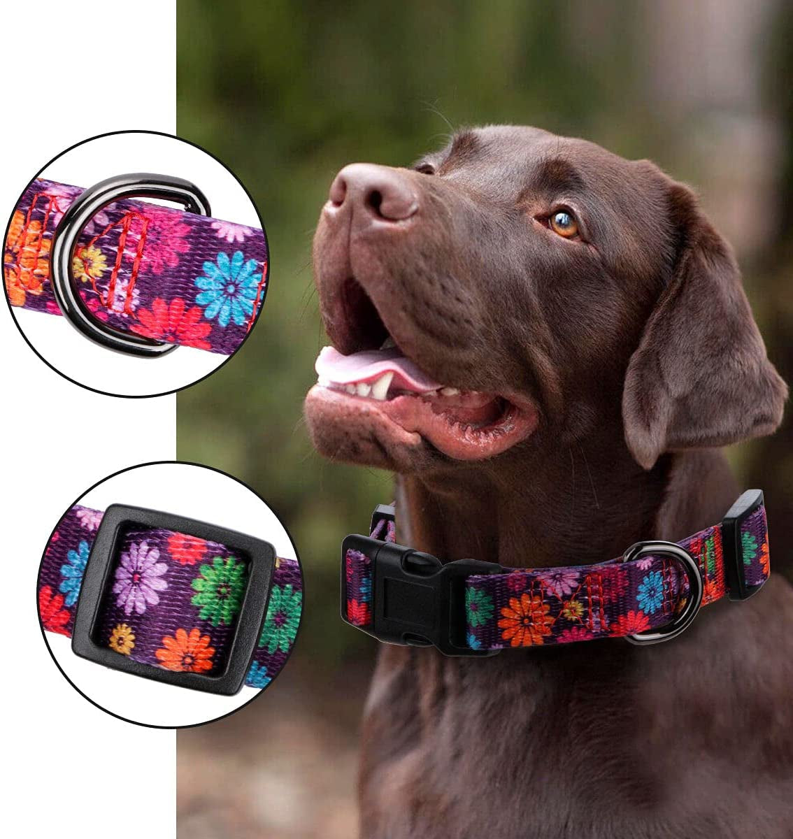 Floral Dog Collar Large by Prismra