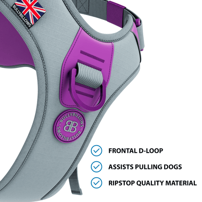 Anti Pull Hurricane Harness Lighter | With Handle - Purple X Metal Grey