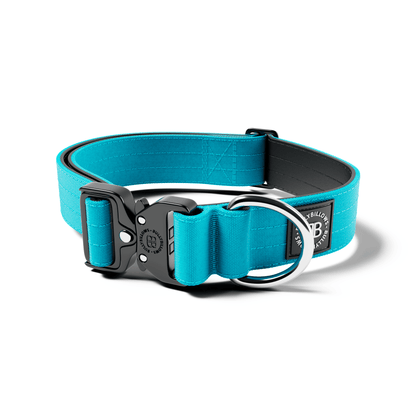 4cm Combat® Collar | No Handle & Secure Clip