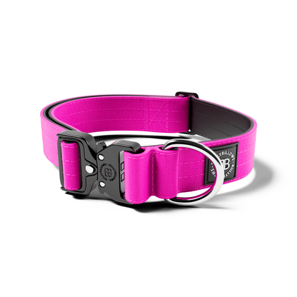 4cm Combat® Collar | No Handle & Secure Clip