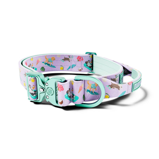 4cm Lighter Combat® Collar | With Handle & Secure Clip - Prismra Purple