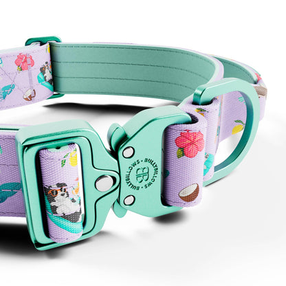 4cm Lighter Combat® Collar | With Handle & Secure Clip - Prismra Purple