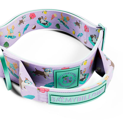 4cm Lighter Combat® Collar | With Handle & Secure Clip - Prismra Purple