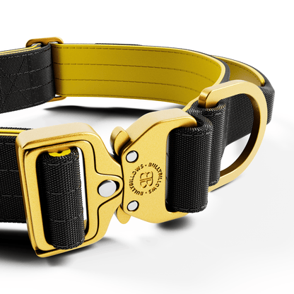 4cm Lighter Combat® Collar | With Handle & Secure Clip - Black X Yellow
