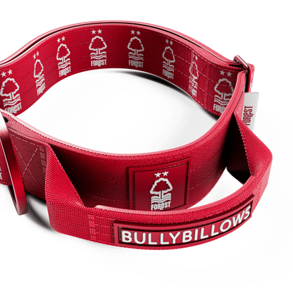 4cm Lighter Combat® Collar | With Handle & Secure Clip - Nottingham Forest