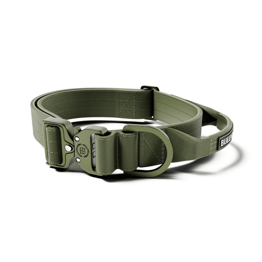 4cm Lighter Combat® Collar | With Handle & Secure Clip - Khaki x Khaki