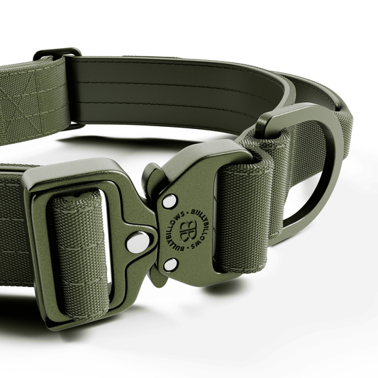 4cm Lighter Combat® Collar | With Handle & Secure Clip - Khaki x Khaki