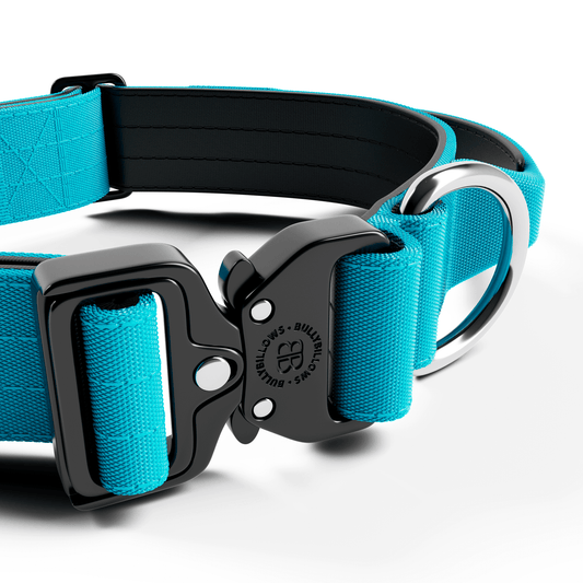 4cm Combat® Collar | With Handle & Secured Clip - Light Blue