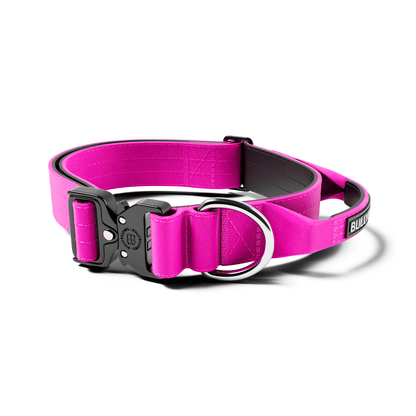 4cm Combat® Collar | With Handle & Secure Clip