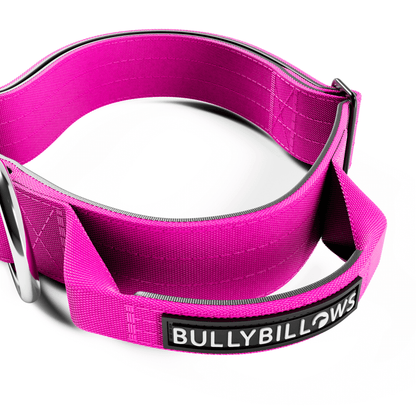 4cm Combat® Collar | With Handle & Secured Clip - Magenta
