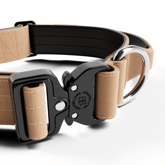 4cm Combat® Collar | With Handle & Secured Clip - Tan
