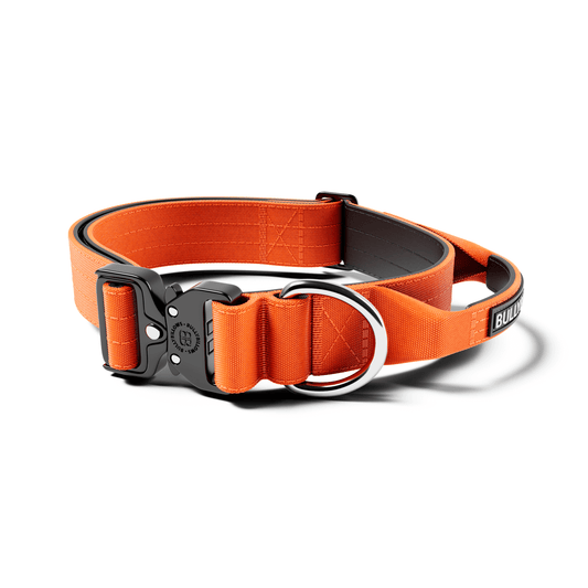 4cm Combat® Collar | With Handle & Secured Clip - Orange