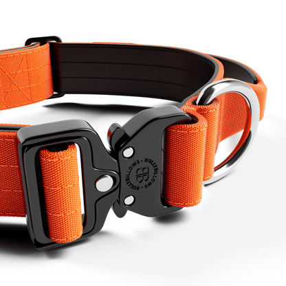 4cm Combat® Collar | With Handle & Secured Clip - Orange
