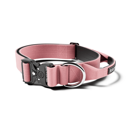 4cm Combat® Collar | With Handle & Secure Clip
