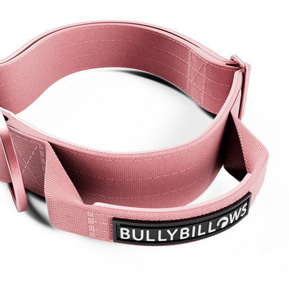 4cm Lighter Combat® Collar | With Handle & Secure Clip - Pink x Pink